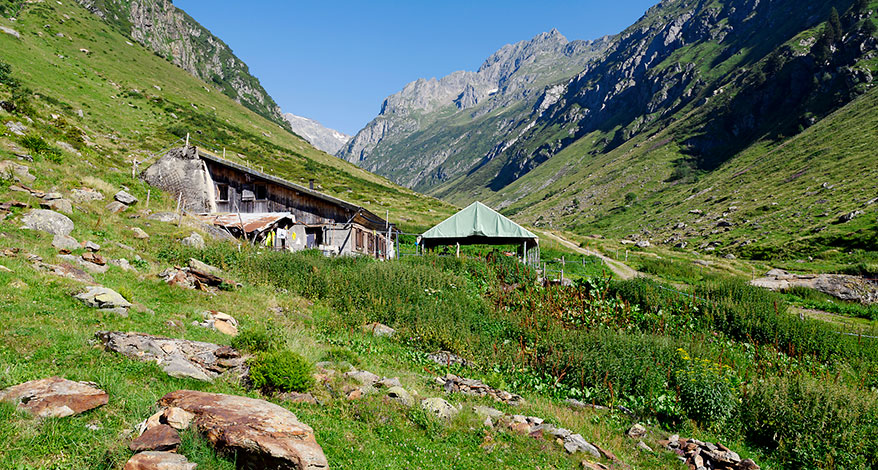 Urner Alpen - Kopfbild Folgeseite