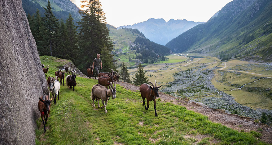 Urner Alpen - Kopfbild Folgeseite