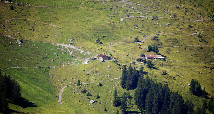 Urner Alpen - Kopfbild Folgeseite