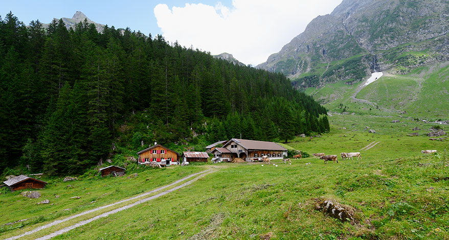 Urner Alpen - Kopfbild Folgeseite