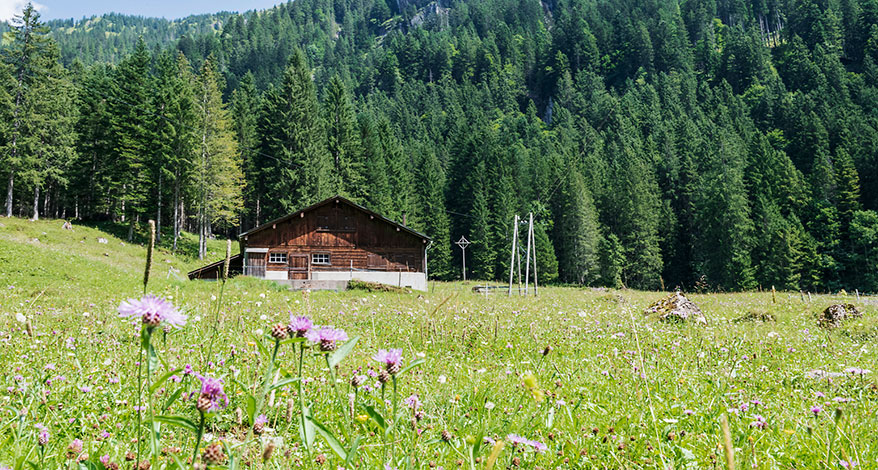 Urner Alpen - Kopfbild Folgeseite