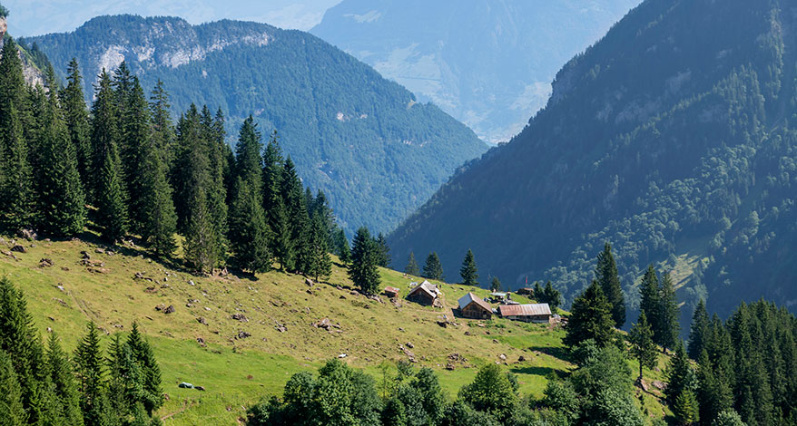 Urner Alpen - Kopfbild Folgeseite